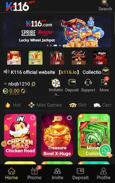 K116 Game